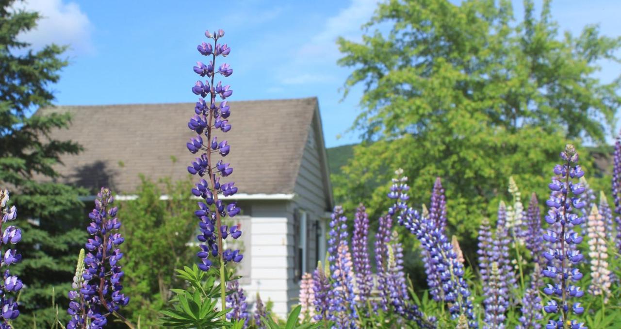 Chanterelle Inn & Cottages Baddeck Exterior photo